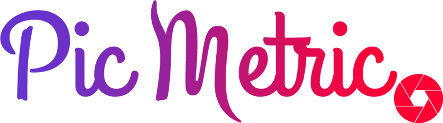 Pic Metric Logo